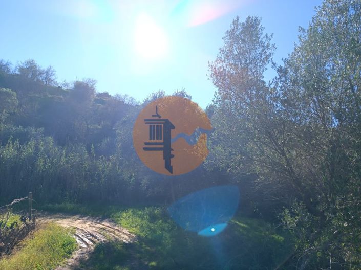 Image No.21-Plot for sale