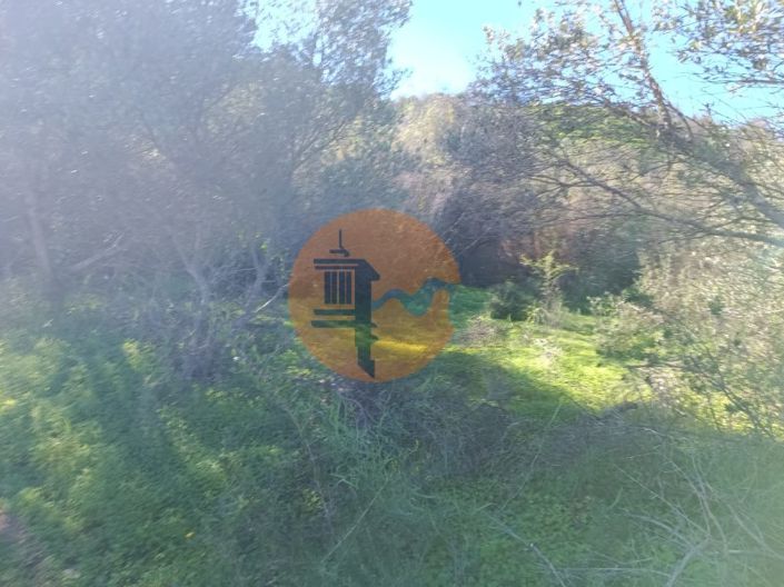 Image No.22-Plot for sale