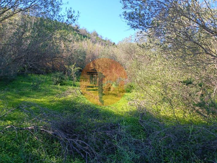 Image No.23-Terrain à vendre à Castro Marim