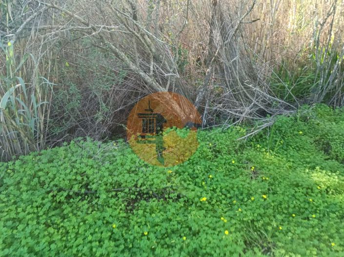 Image No.24-Plot for sale