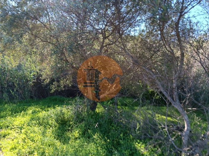 Image No.25-Plot for sale