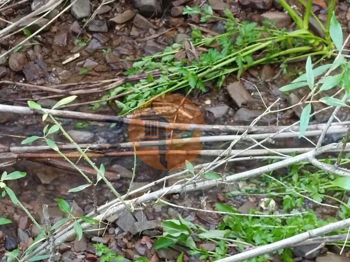 Image No.26-Plot for sale