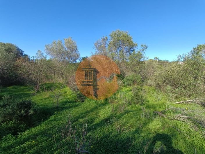 Image No.27-Plot for sale