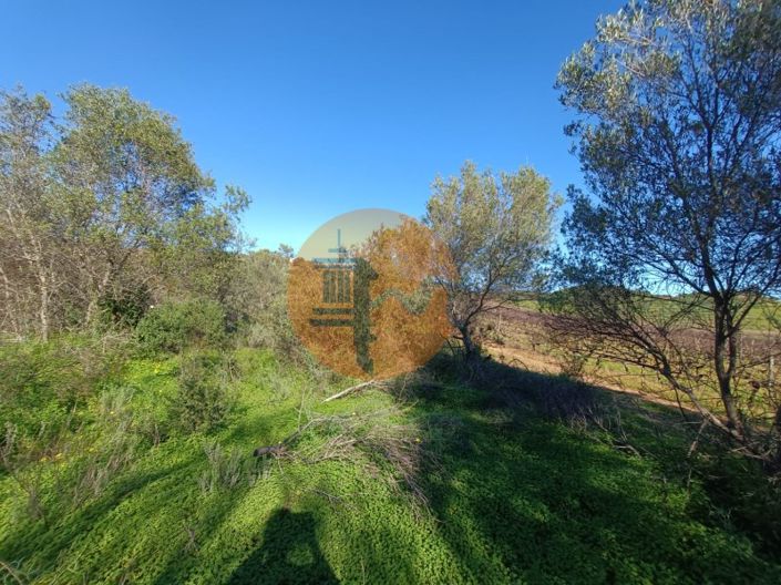 Image No.28-Plot for sale