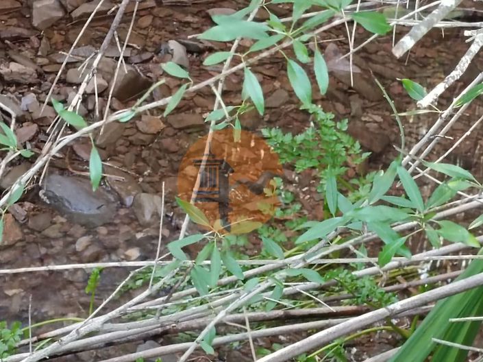 Image No.29-Terrain à vendre à Castro Marim