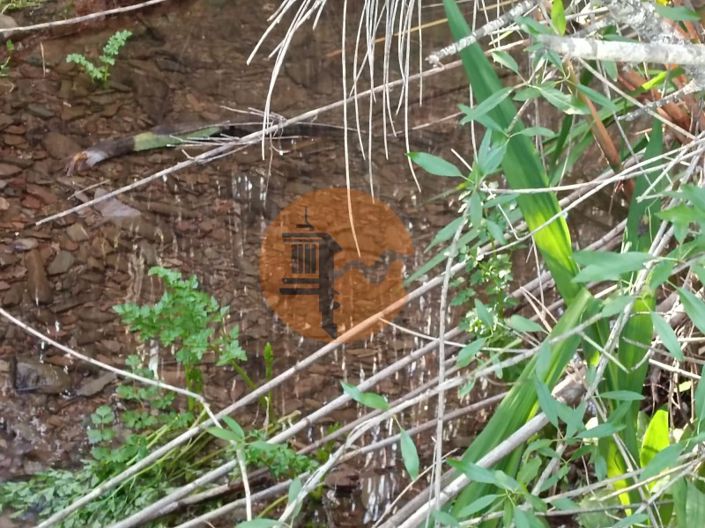 Image No.3-Plot for sale