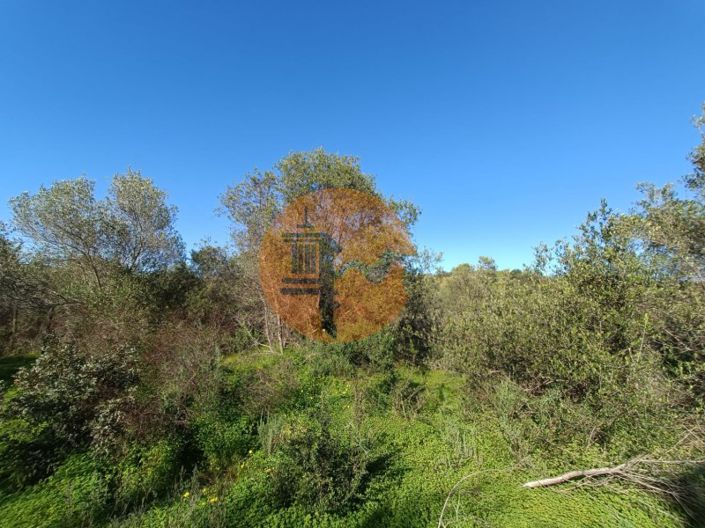 Image No.30-Plot for sale