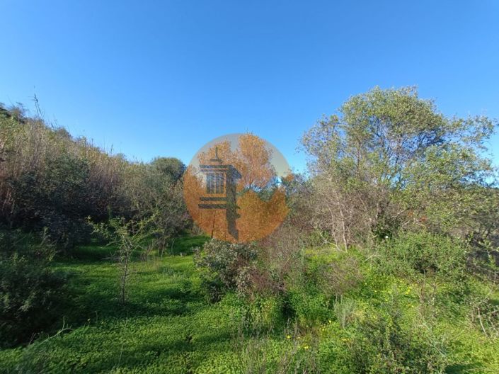 Image No.31-Plot for sale