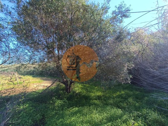 Image No.33-Plot for sale