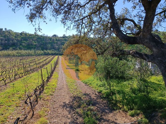 Image No.4-Terrain à vendre à Castro Marim