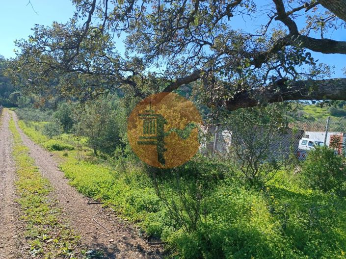 Image No.6-Plot for sale