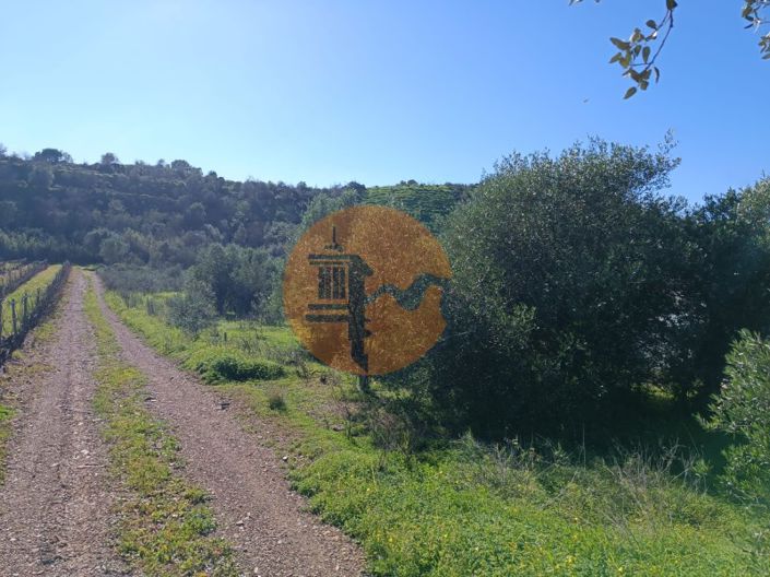 Image No.7-Terrain à vendre à Castro Marim