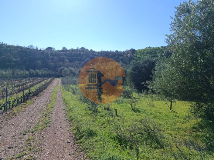 Image No.9-Plot for sale