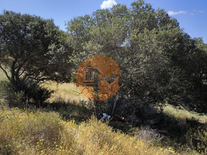 Image No.20-Terrain à vendre à Castro Marim