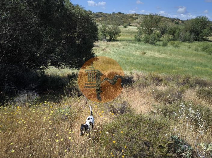 Image No.21-Terrain à vendre à Castro Marim