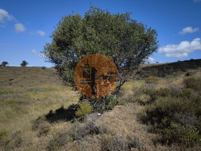 Image No.4-Terrain à vendre à Castro Marim