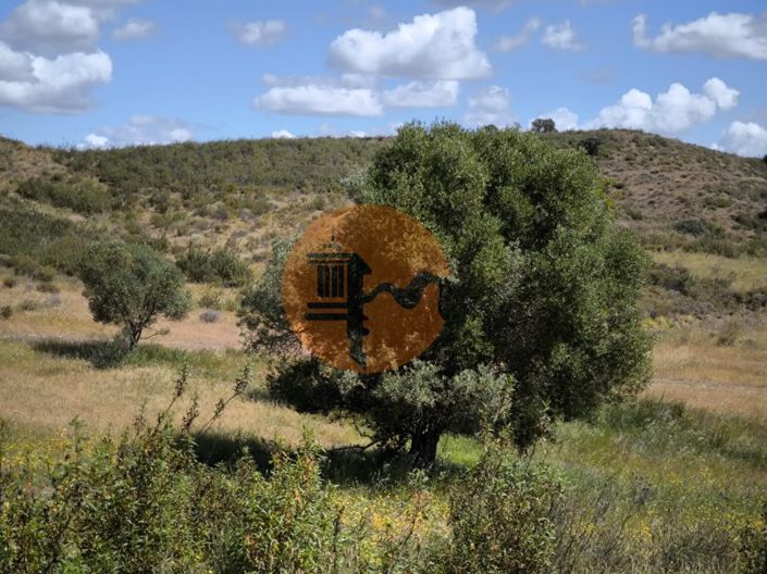 Image No.18-Plot for sale