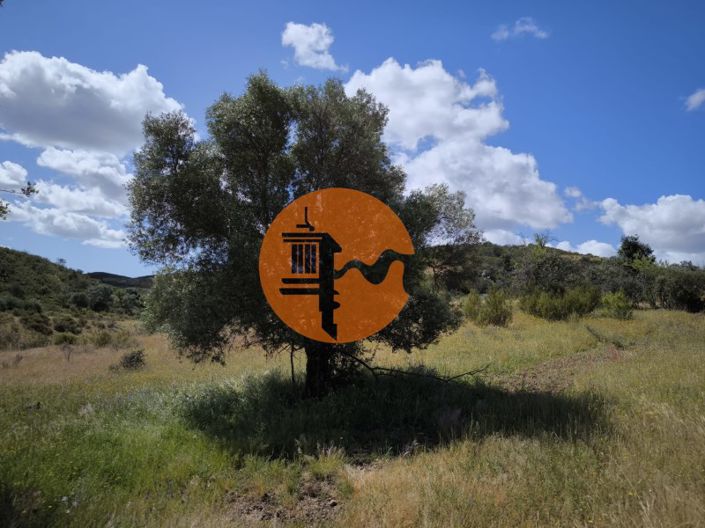 Image No.29-Plot for sale