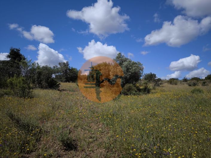 Image No.28-Plot for sale