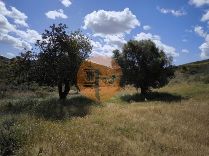 Image No.34-Plot for sale