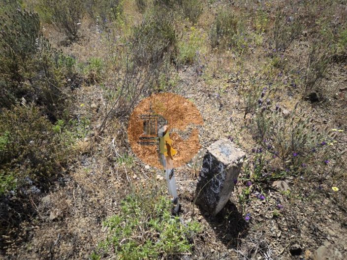 Image No.6-Plot for sale