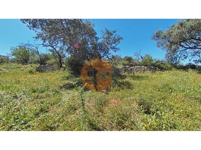 Image No.34-Maison de 3 chambres à vendre à Loule