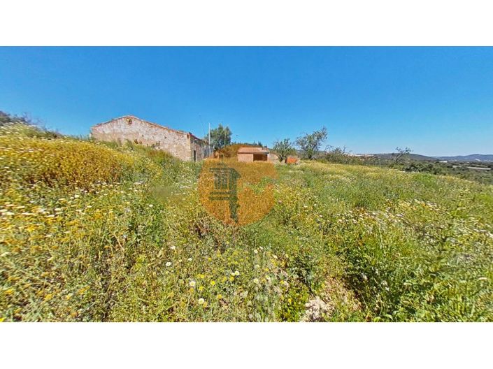Image No.13-Maison de 3 chambres à vendre à Loule