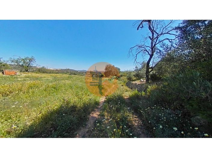 Image No.38-Maison de 3 chambres à vendre à Loule