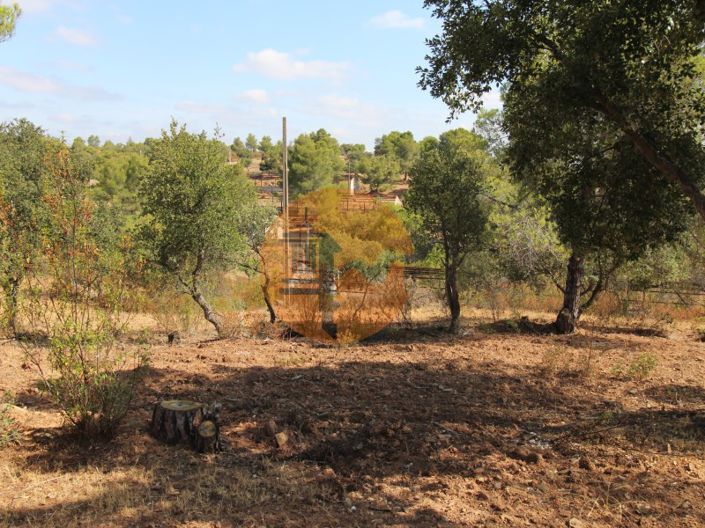 Image No.4-Plot for sale