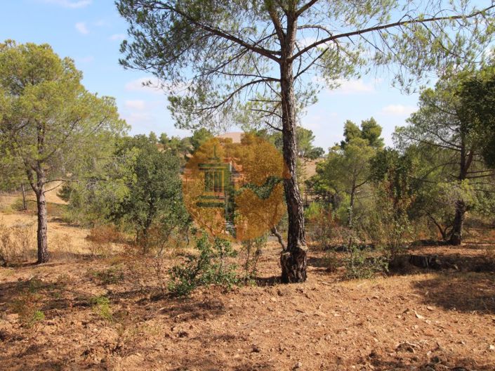 Image No.5-Plot for sale