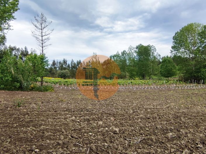 Image No.13-Plot for sale