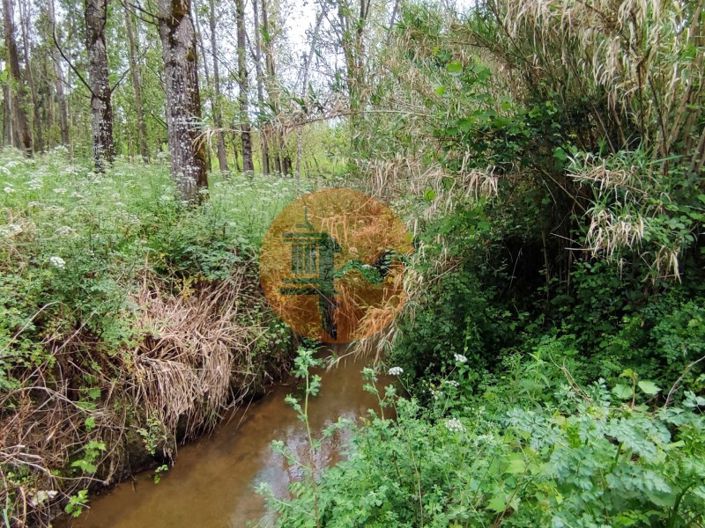 Image No.16-Plot for sale