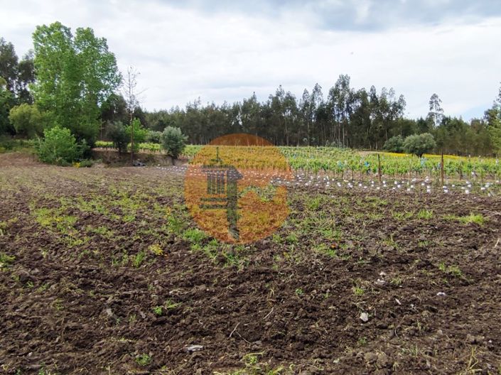 Image No.17-Plot for sale