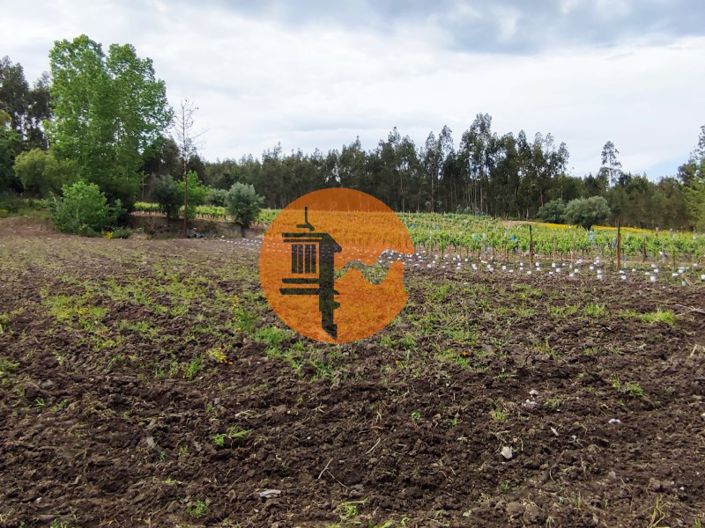 Image No.18-Plot for sale