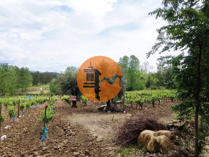 Image No.2-Plot for sale