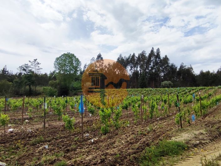 Image No.23-Plot for sale