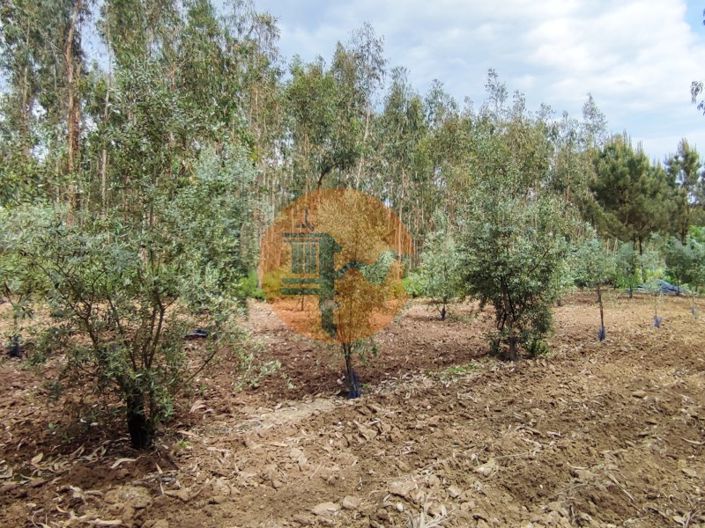 Image No.24-Plot for sale