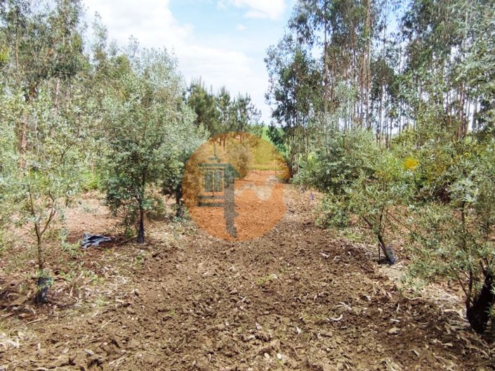 Image No.25-Plot for sale