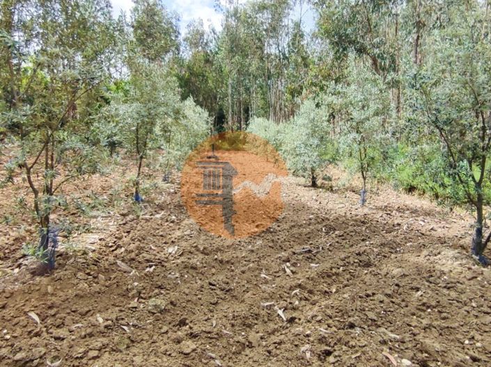 Image No.26-Plot for sale