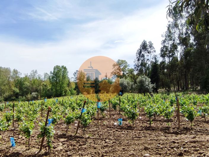 Image No.29-Plot for sale