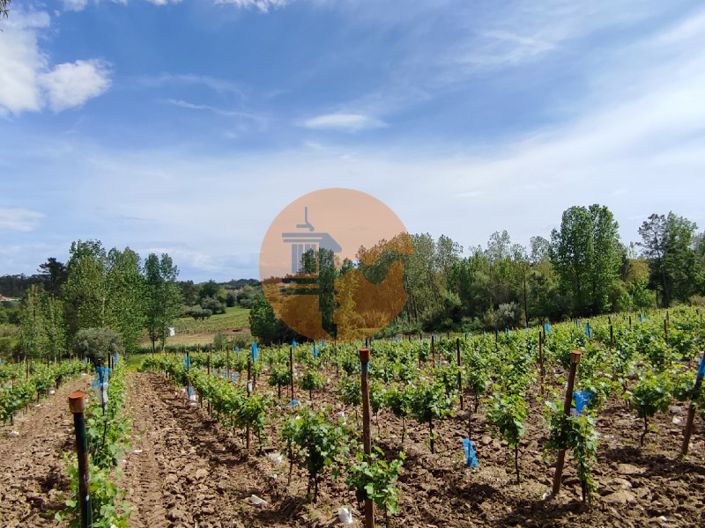 Image No.30-Plot for sale