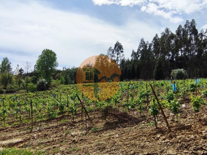 Image No.31-Plot for sale