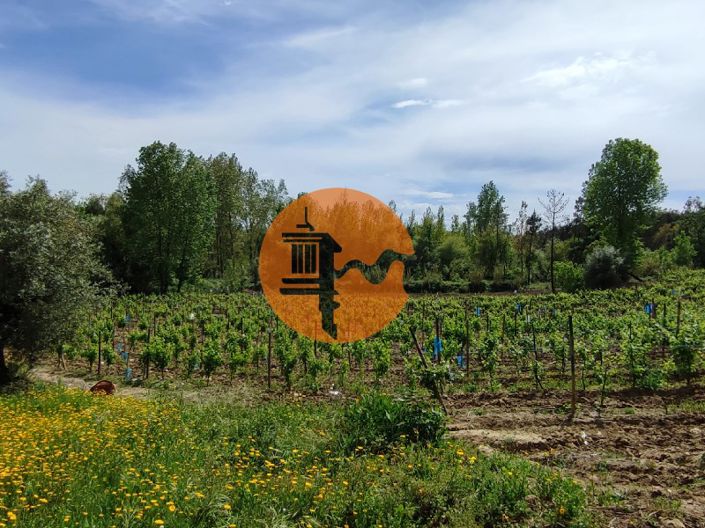 Image No.32-Plot for sale