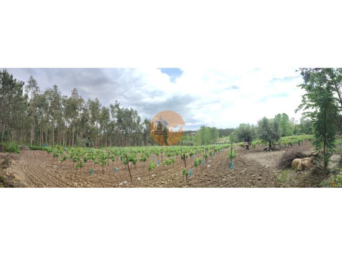 Image No.33-Plot for sale