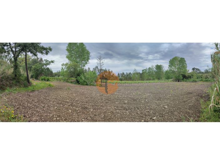 Image No.34-Plot for sale