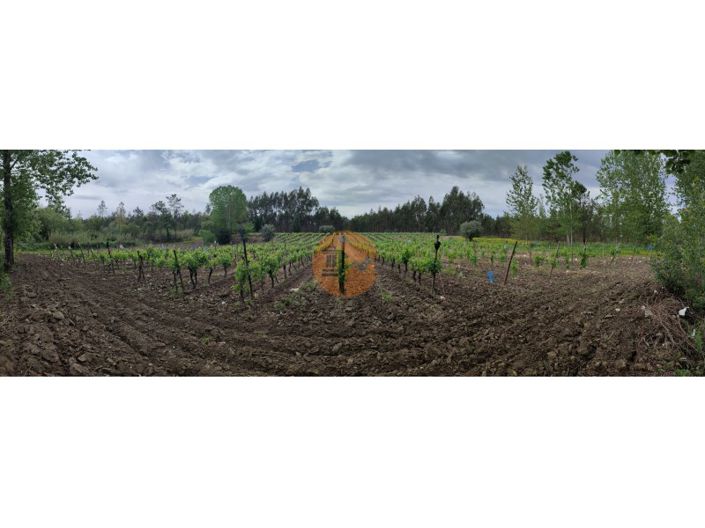 Image No.35-Plot for sale