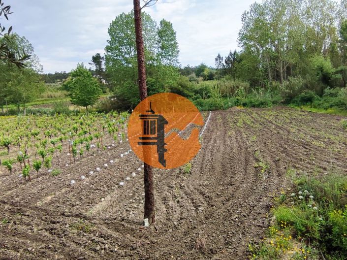 Image No.5-Plot for sale