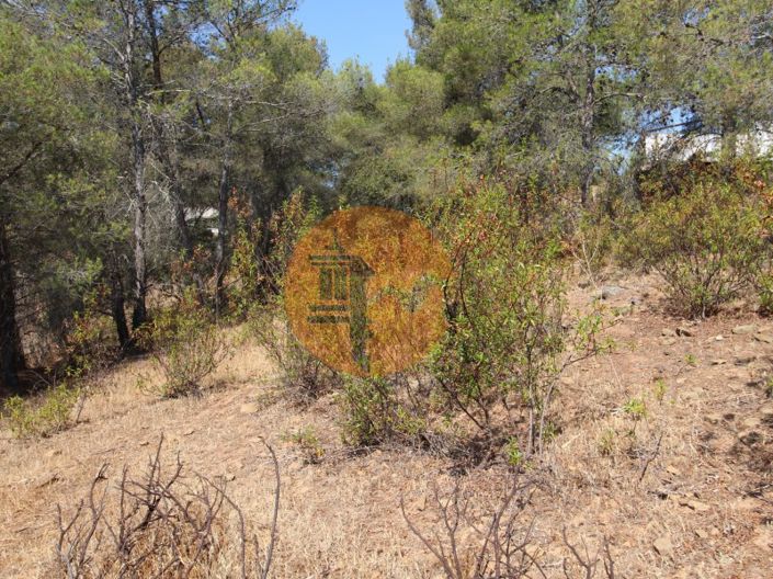 Image No.12-Commercial for sale