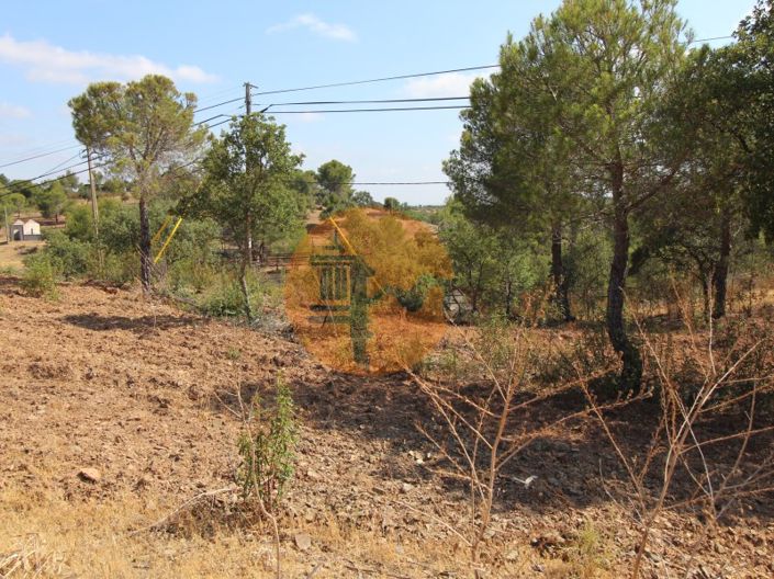 Image No.6-Commercial for sale