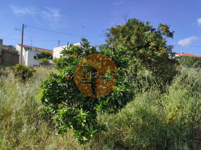 Image No.14-Maison de 2 chambres à vendre à Castro Marim